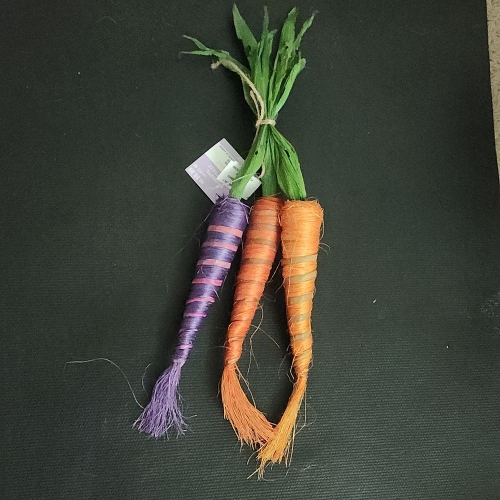 💥5/$25 SALE | BUNDLE TO SAVE | Decorative Carrots